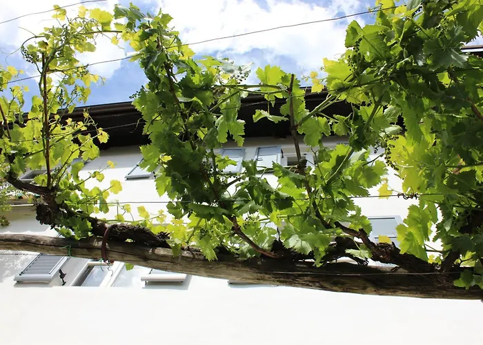 Villa Weingut Pardellerhof Marling